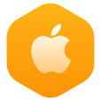 App开发